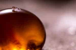 Collembole Arrhopalites sp.