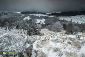 Paysage plaine et forêt du Lingas