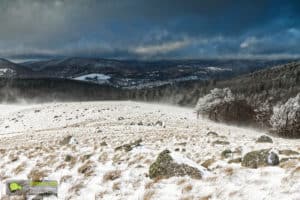 Lingas, paysage après la tempête