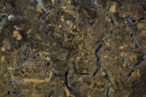 Profil d'un sol avec galeries de vers de terre