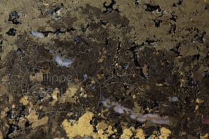 Focus sur vers de terre et galeries