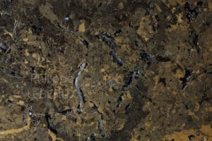 Focus sur vers de terre et galeries