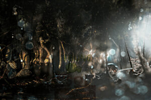 Photomontage artistique avec faune du sol