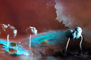 Photomontage artistique avec faune du sol