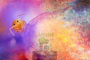 Photomontage artistique avec faune du sol