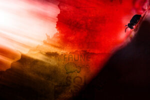 Photomontage artistique avec faune du sol