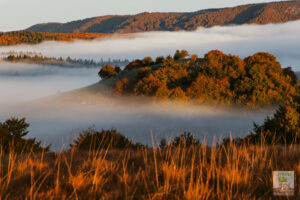 Lever de soleil forêt du Lingas