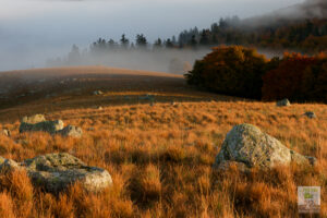 Plaine du Lingas dans la brume