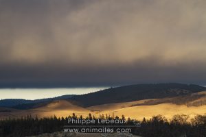 Soleil couchant sur la plaine du Lingas- Parc National des Cévennes