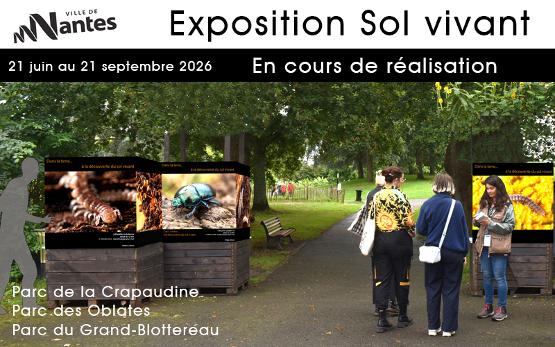 Exposition Sol Vivant Ville de Nantes - En cours de réalisation